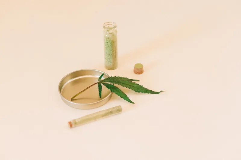 Not Every Garden Needs the Whole Plant: When CBD Isolate Might Actually Win