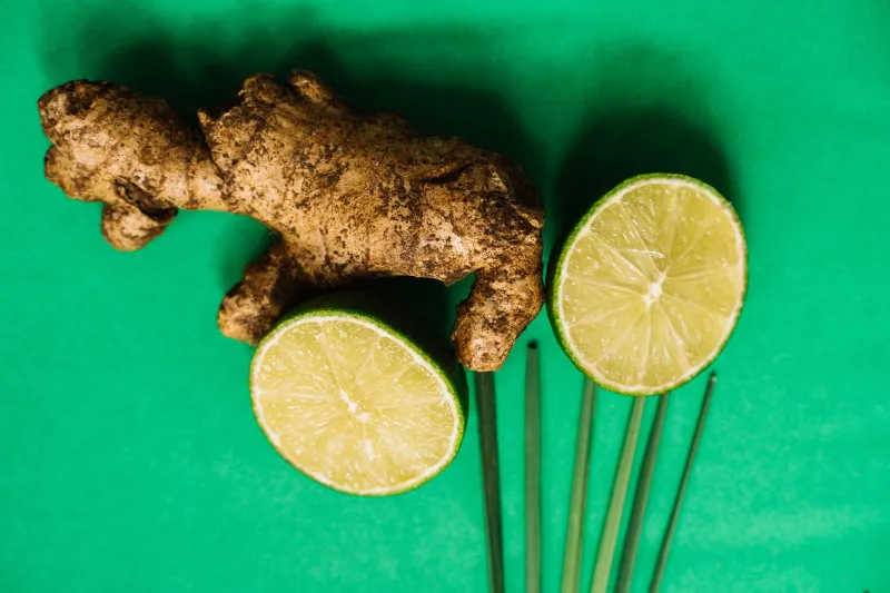 Sniff, Sip, and Select: Reading a CBD Product's Terpene Profile Like a Pro